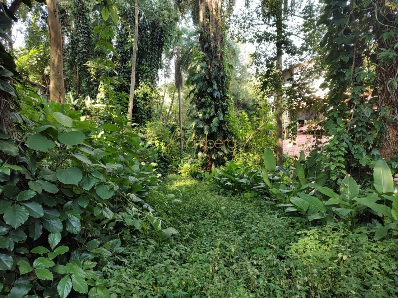 Terreno para Venda - Jardim Vitória Régia